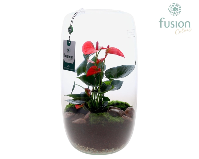 <h4>Green Bottle Isabella XXLarge met Anthurium</h4>