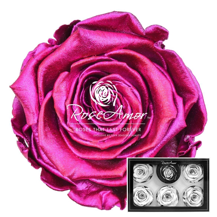 <h4>Xl Metallic Pink</h4>