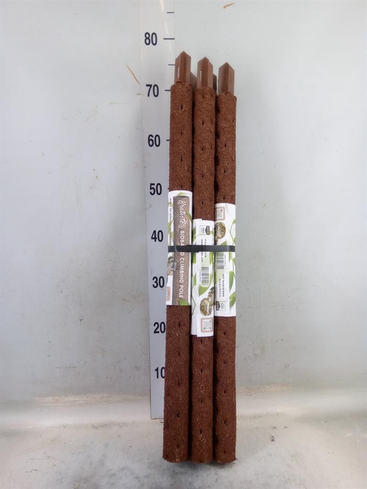 <h4>Decoratie  ..Klimstok composteer H%</h4>