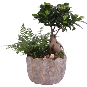 Yearround Arr. Indoor Ceramic Pure Luxury PL670 Ø18cm 2PP