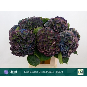 HYDR M ROYAL KING CL