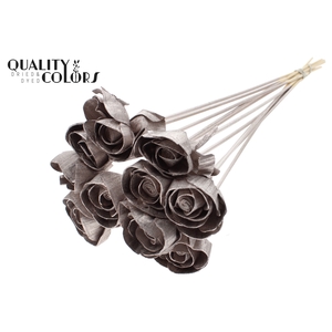 Shola Dear Holly 6cm on stem Champagne