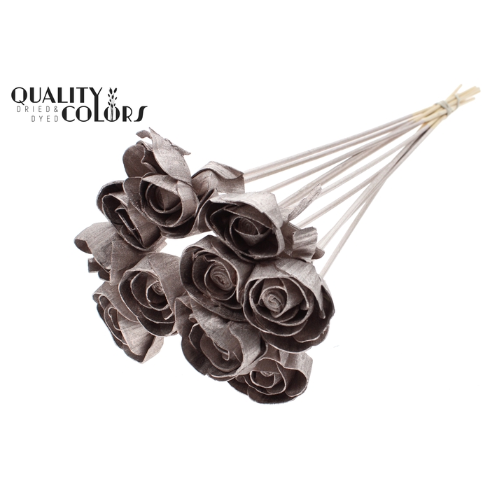 <h4>Shola Dear Holly 6cm on stem Champagne</h4>
