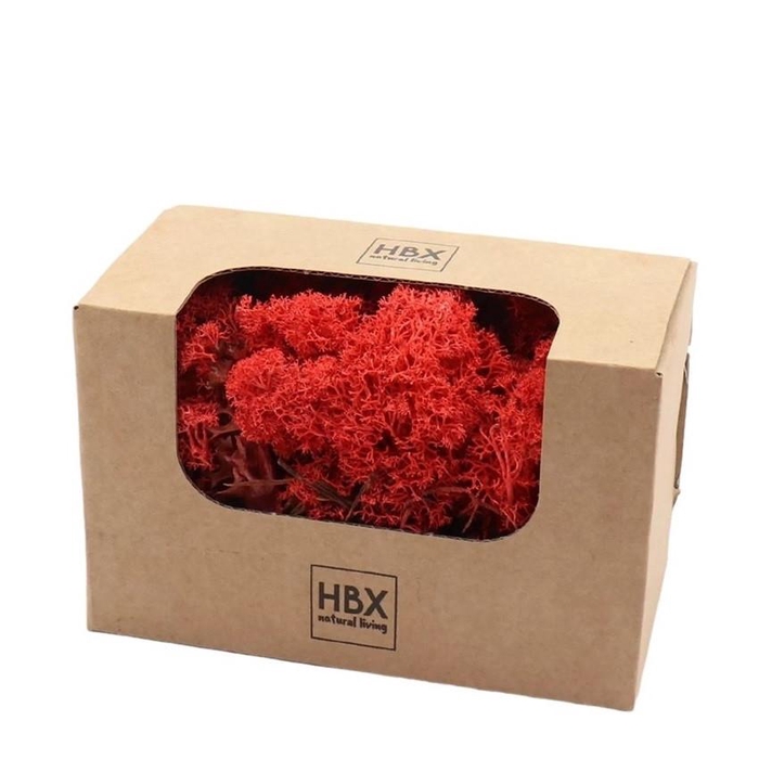 <h4>Preserved Rendiermos 50g</h4>