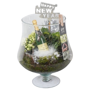 Opm Pt PTON5172 New Year Glas Cognac