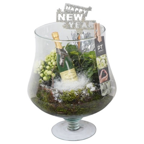 <h4>Opm Pt PTON5172 New Year Glas Cognac</h4>