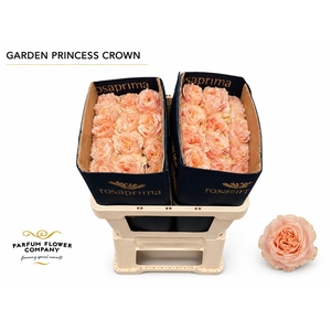Rosa Garden Princess Crown