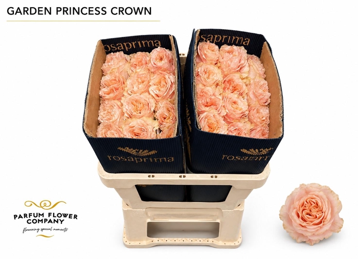 <h4>Rosa Garden Princess Crown</h4>
