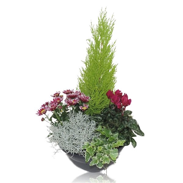 <h4>Arrangement in Bowl 27 cm</h4>