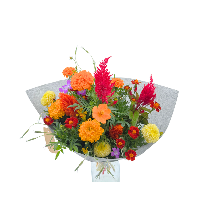 <h4>BQ Nature Grown Large</h4>