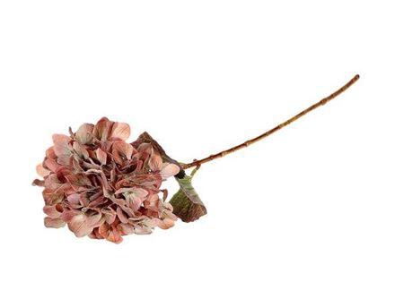 <h4>Stem Hydrangea L65</h4>