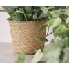 VASO IGMAR NATURAL D18 A16 IMP