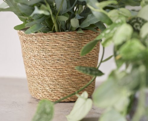 VASO IGMAR NATURAL D18 A16 IMP