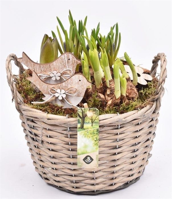 Wilg mand grijs met oor 23cm