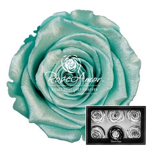 Lplus Satin Tiffany Blu02