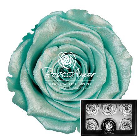 <h4>Lplus Satin Tiffany Blu02</h4>