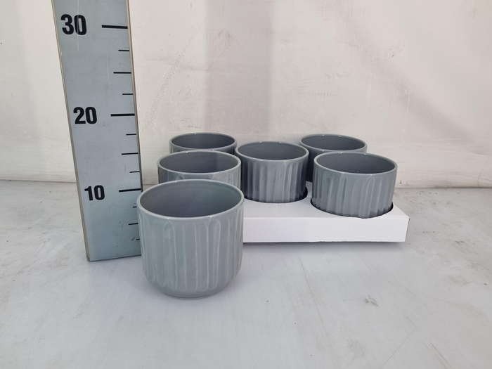 <h4>HUIS EN TUINDECO H%</h4>