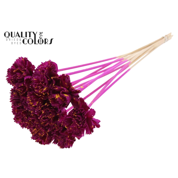 <h4>Shola Karnish Flower 6cm on stem Splashed Lilac/Yellow</h4>