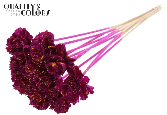 Shola Karnish Flower 6cm on stem Splashed Lilac/Yellow