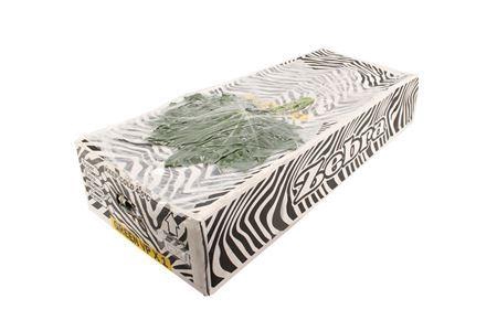 <h4>Aralia 40cm Medium</h4>