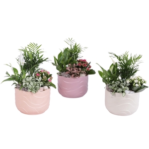 Yearround Arr. Indoor Ceramic Soft Elegance SE660 Ø20cm 4PP