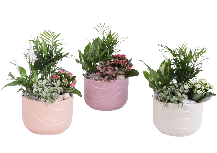 <h4>Yearround Arr. Indoor Ceramic Soft Elegance SE660 Ø20cm 4PP</h4>