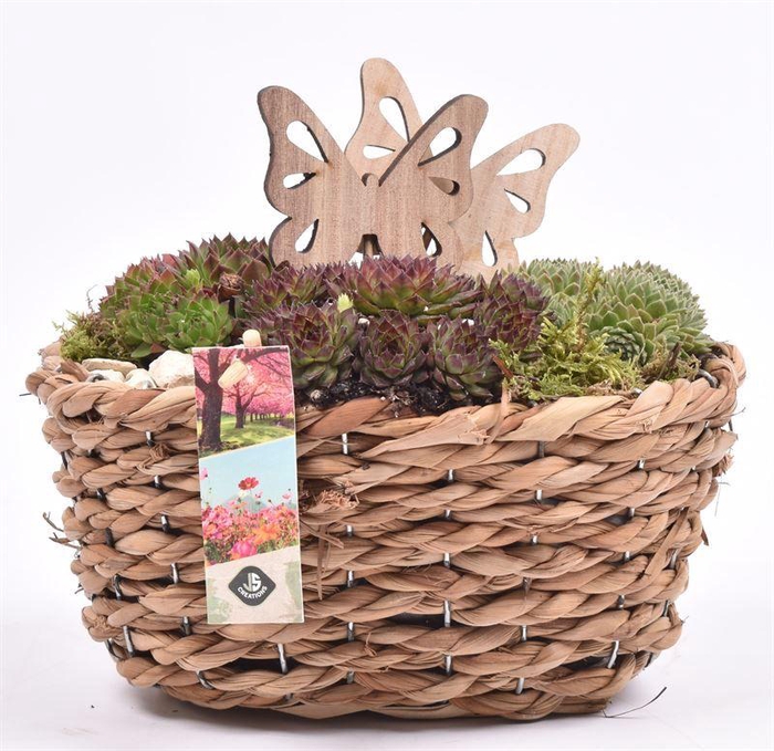 <h4>Maisblad gevl. ovaal 24x15cm</h4>