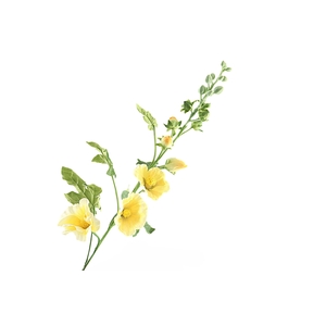 Alcea Large Yellow