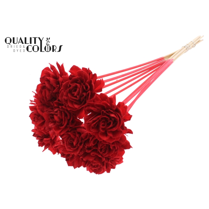 <h4>Shola Dahlia 6cm on stem Red</h4>