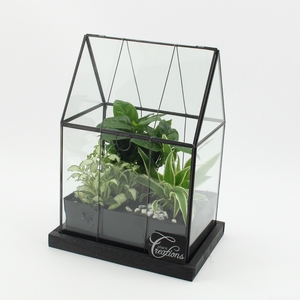 GRCR-2537 Green Essentials terrarium