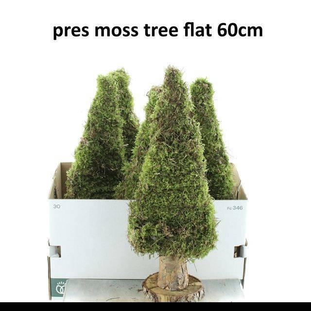 <h4>MOSSEN OV H%</h4>