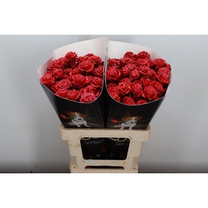 Wax-Rozen Wax Wit  Zilver glitter