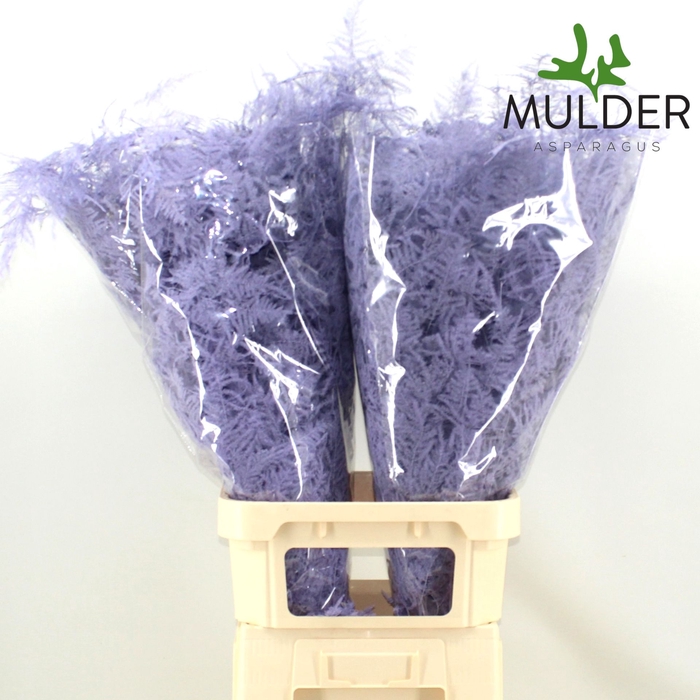 <h4>Snijgroen Light Violet Lang Getopt</h4>