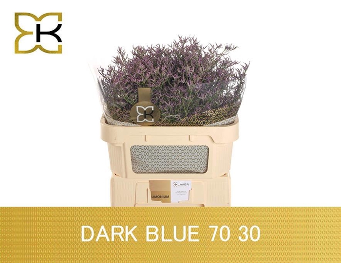 <h4>LIM SAF DARK BLUE</h4>