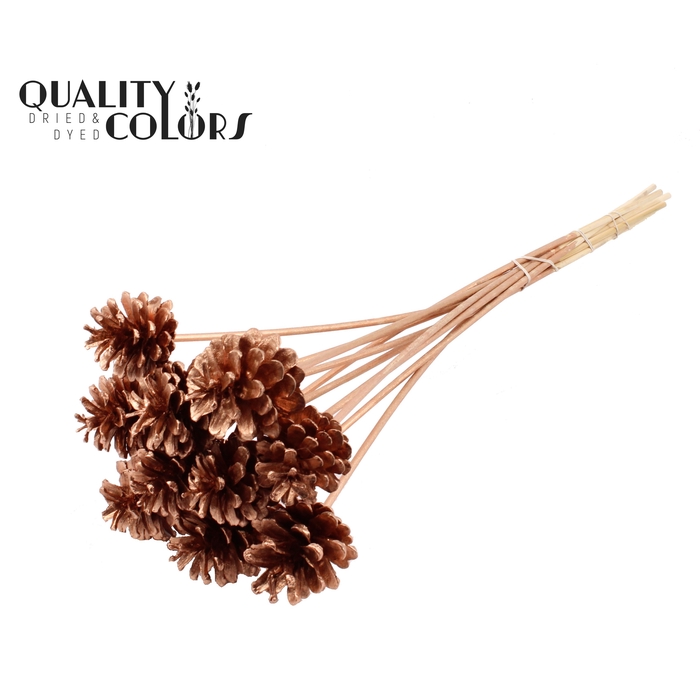 <h4>Pine cone 5-7cm on stem Copper</h4>