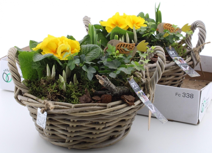 <h4>ARR PL IN SCHAAL</h4>