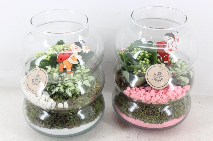 <h4>arr2 PL - Glas ringvaas - roze/wit</h4>