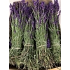 Lavandula Angust Bos