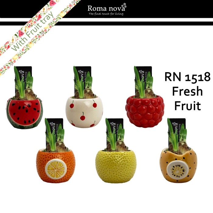 <h4>1518 - Fresh Fruit (Tete a Tete)</h4>