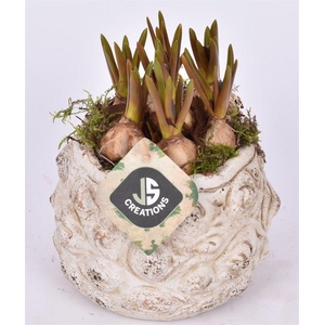 Cement pot bloemdecor 13,5cm