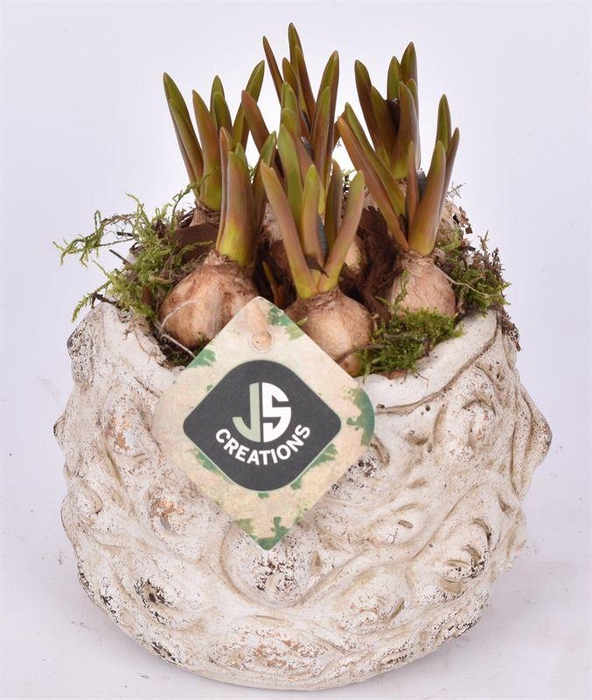 <h4>Cement pot bloemdecor 13,5cm</h4>