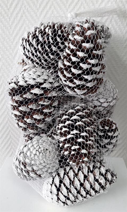 <h4>Maritima's net white tip</h4>