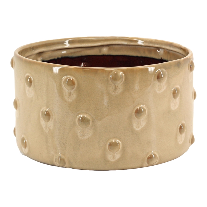 <h4>BLOEMPOT H%</h4>