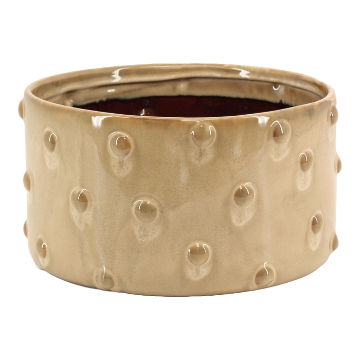 <h4>BLOEMPOT H%</h4>