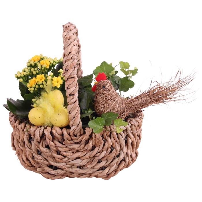 <h4>Easter Arr. Indoor Waterhyacint Handle Basket Ø21cm 2PP</h4>
