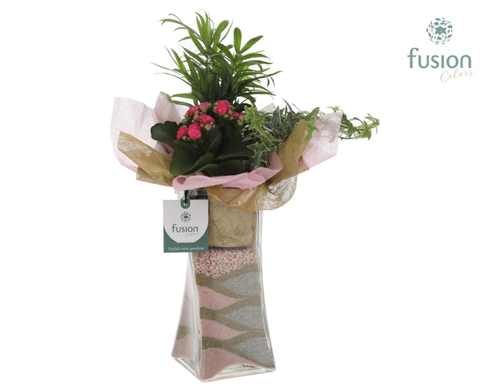 <h4>Glazen Twistervaas met Arrangement</h4>