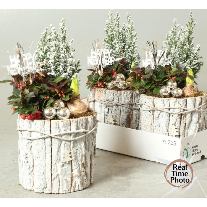 <h4>ARR TUINPLANTEN</h4>