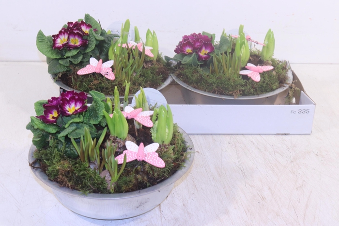 <h4>ARR TUINPLANTEN</h4>