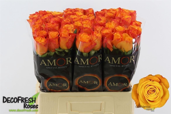 <h4>R Gr Confidential</h4>