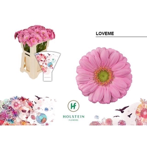 Germini Loveme Water